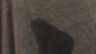 Carmen fucks herself silly 