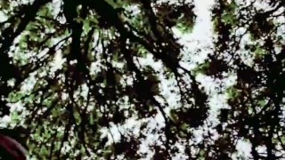 Slutboyben CAM4 Sexy cruising chick IV