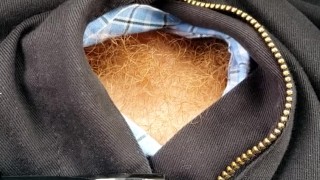 Firebush, ginger bush!