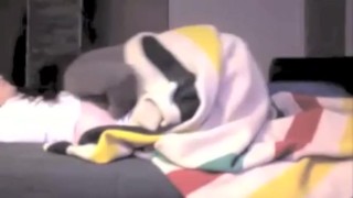 Wife sucks big swingers cock