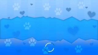 SFG Miss Furry Review