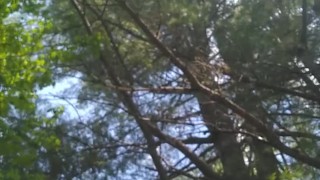  in the park