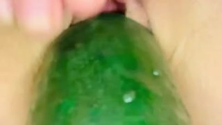Tiny pussy try’s to sit on a HUGE cucumber