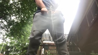 Chubby Bear Pees on Camera