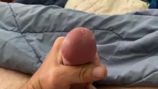 Loads of Fun 