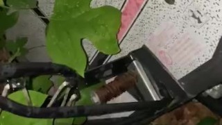 pissing on basketball net