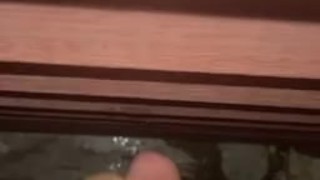 Nutted on the neighbors house 