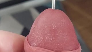 Solo Masturbate and Penis Plug