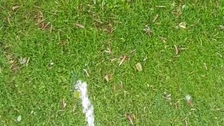 Pissing in a public park!! 💦💦