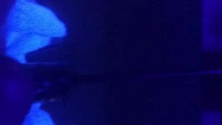 FuckMachine