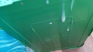 Paja 3 mañanero cum in the morning god perfect big dick grande corrida inexpert