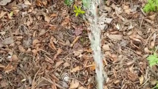 DESPERATE Piss In Public 💦😍