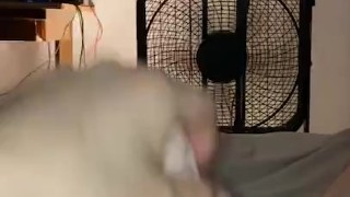 Close Up Dillion Harper stroker masturbation and cum 