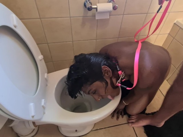 Human Toilet Indian Whore Get Pissed on and Get Her Head Flushed Followed  by Sucking Dick - Free Porn Videos - YouPorn