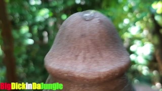 Slimy Wet Dripping Precum rubbed all over my BBC in Close Up then I Moan for you which is Hot AF