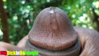 Slimy Wet Dripping Precum rubbed all over my BBC in Close Up then I Moan for you which is Hot AF