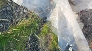 Pissing in public, long desperate piss in the wind 💦