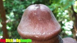 After Precum Seeps from my Hard Cock Hole a Huge Load of Cum Rushes out on Rapid Fire (Close Up)