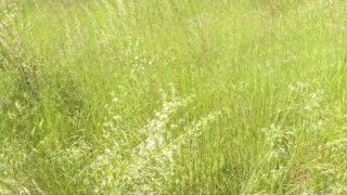 Outside. Wild beach. Random passerby man by river saw naked woman sunbathing. Outdoor. Nudist
