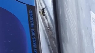 bee in window 4