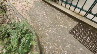 Fapping in french subway and peeing under the eiffel tower ( French GAY porn exhib Paris )