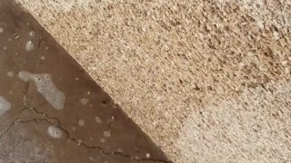 DESPERATE Public Piss in an apartment building! 💦💦