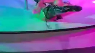 Squirting live