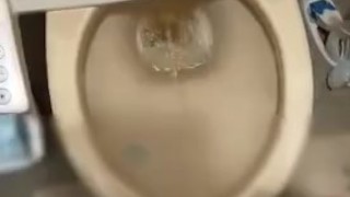 おしっこするとホッとするよね♪