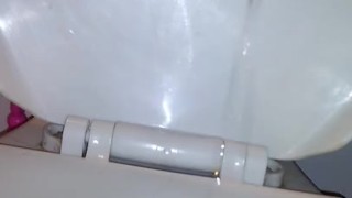 This slut loves to show me her big vagina while going to the bathroom