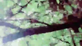 Slutboyben CAM4 Exhibitionist Pig