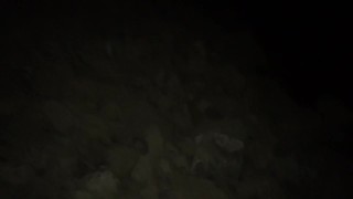 Pissing Under a bridge 