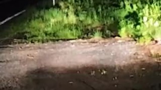 FTM Nude Trans Piss Side Of Road