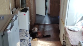 This time I'm walking around the kitchen