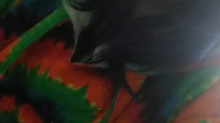 Pissing and a glimpse into my third eye