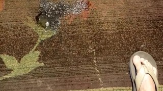 Hairy ginger pissing on a rug, a outdoor rug! Firebush!
