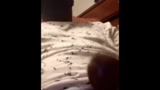 Worship Nasty Verbal Jock boy in Sneakers before you Swallow Huge Cock