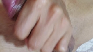 Pajaso salvaje