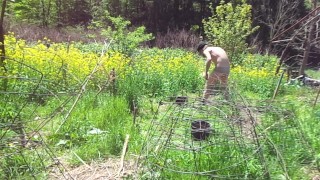 sexypantyman takes it outside for a walk in the garden hope ma don't find me taking the cock out!
