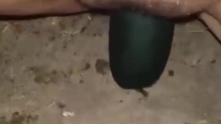 My 3 zucchini videos in 1