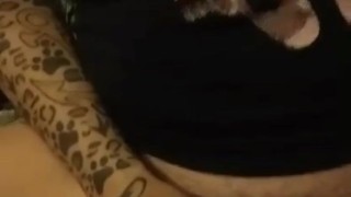 My 3 zucchini videos in 1