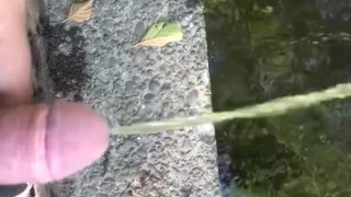 Peeing off a public bridge