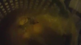 Piss marking and cumming in my bedroom 😍