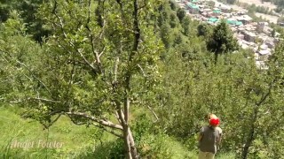 Spying on Stranger peeing girl Outdoor - first time caught pissing girl 