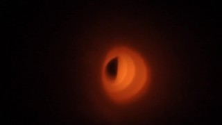 Internal Masturbator POV Cumshot