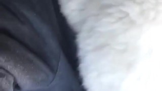 doggy style