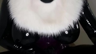 Horny trans rubber furry pee all over you