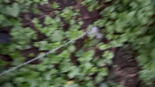 Do bears piss in the woods?