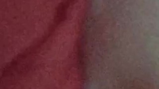 Vagina y ano de juguete.