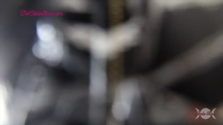 That's A Wrap Executrix Free Preview