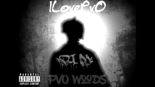 ILovePvO - PvO Woods 0 Intro